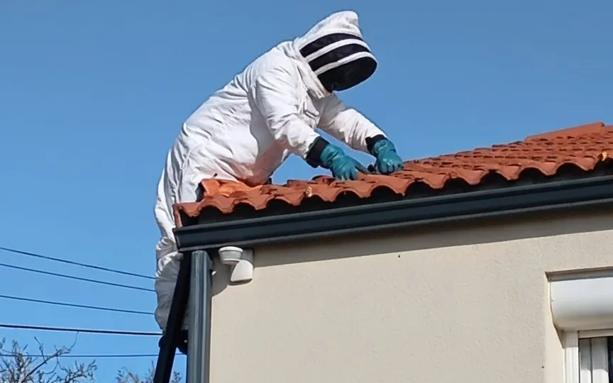 Certification professionnelle